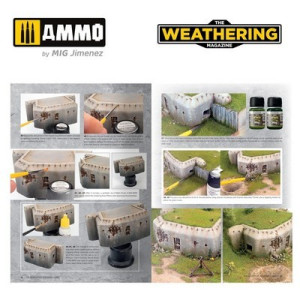 The Weathering Magazine 35 - Szary PL AMIG 4534