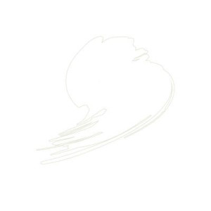 Hataka HTK-B101 Traffic White RAL 9016 10 ml