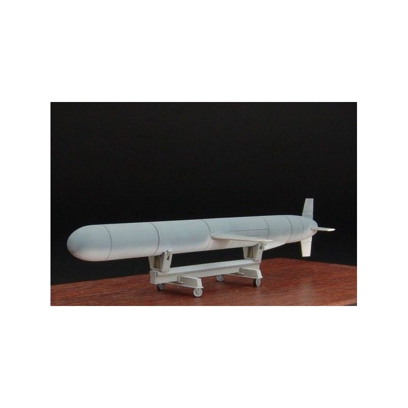 Agm-109 (Bgm-109) Tomahawk BRENGUN BRL72001