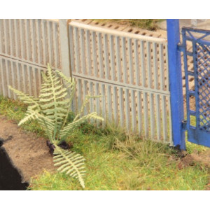 Paproć Nerecznica, Dryopteris filix-mas, KoTeBi, KTB087672