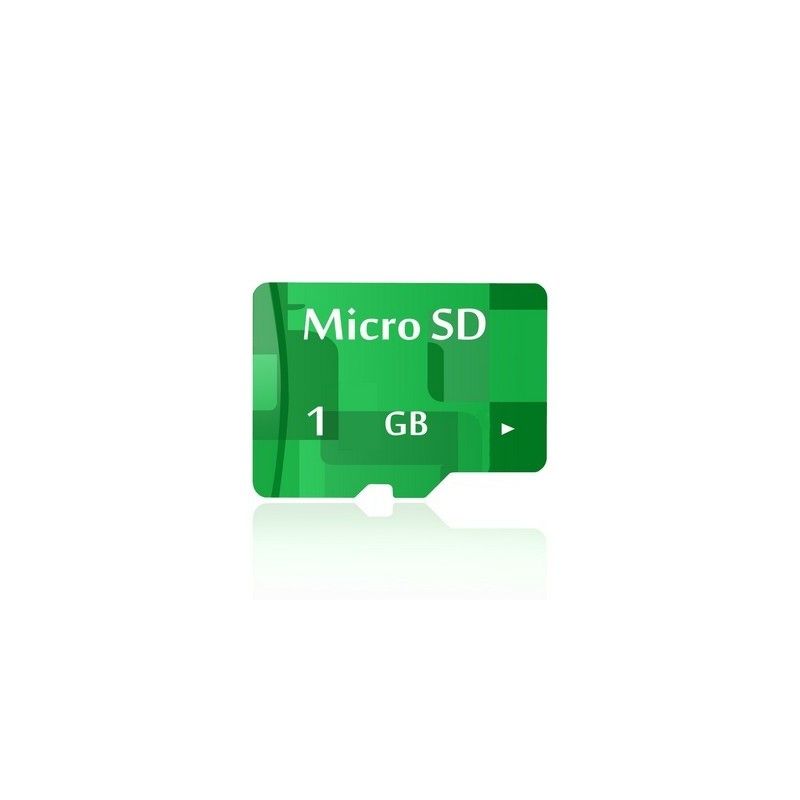 Karta pamięci Micro SD 1 GB