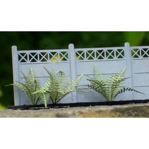 Paproć Nerecznica, Dryopteris filix-mas, KoTeBi, KTB072218