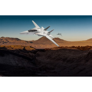 Maverick's F-14 TOMCAT REVELL 04966