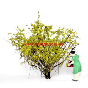 Krzaki 35 - 40 mm, jasna zieleń, KoTeBi, KTB Z 0020